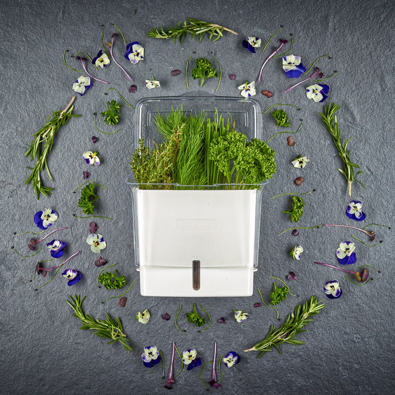 H105159_HerbGarden