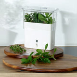 Cole & Mason Fresh Cut Herb Keeper Pot