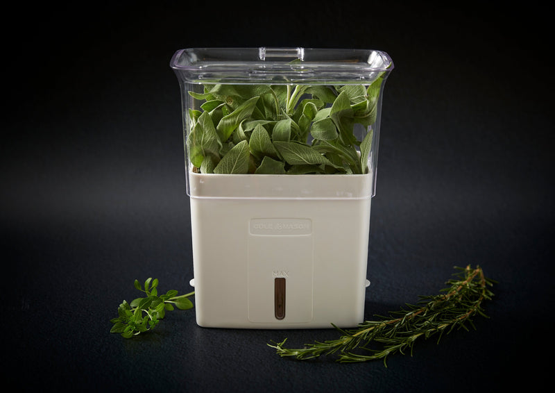 Cole & Mason Fresh Cut Herb Keeper Pot