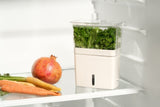 Cole & Mason Fresh Cut Herb Keeper Pot