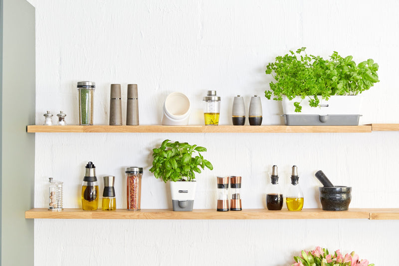 Cole & Mason Self-Watering Potted Herb Keeper